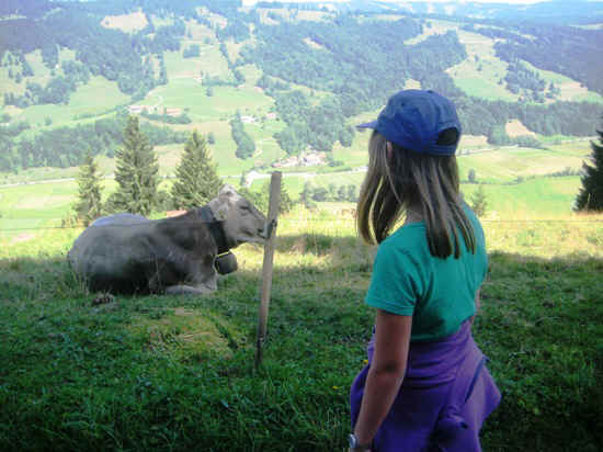 Die Kuh war nicht besonders Interessiert an Milena.